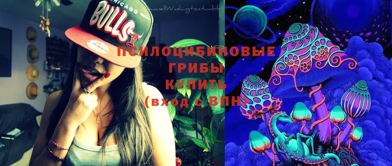 Галлюциногенные грибы Psilocybe  купить   ОМГ ОМГ как зайти  Норильск 